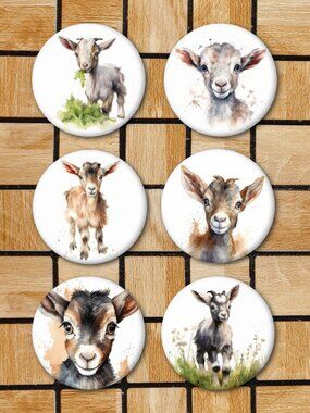 Watercolor Baby Goat Fridge Magnets Set Of 6 Metal Magnets Home Office Kitchen